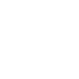 Aston Martin