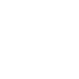 Racing Bulls